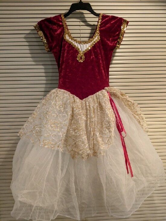 Other Velvet And Tulle Dance Costume Dressmedium Adult Poshmark other-velvet-and-tulle-dance-costume-dressmedium-adult-poshmark